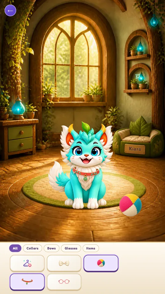 Your pet with accessories